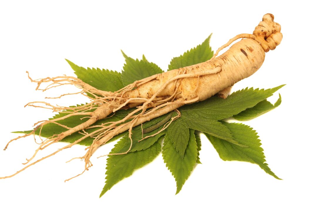 Big Size'te ginseng