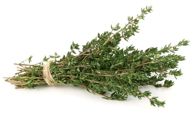 penis büyütme için kekik